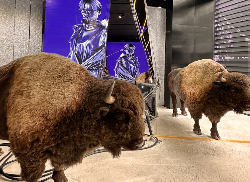 Two bison statues in an Asian store's client experience