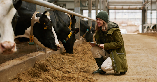 In a barn, a farmer kneels before cows, holding a tablet. She smiles at a cow.