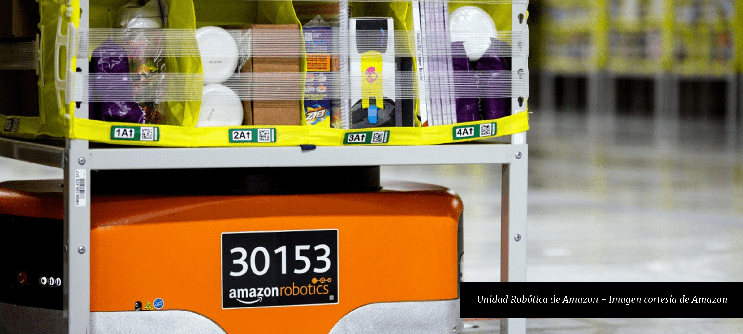 Amazon Warehouse Robot